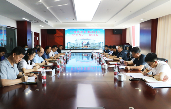 甘肃药业集团党委副书记、总经理窦生铭一行莅临长运娱乐进行安全生产专项检查