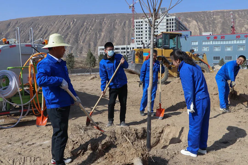 【“三抓三促”进行时】“植初心、种未来、栽种希望，与长运娱乐共成长”——长运娱乐组织开展植树活动
