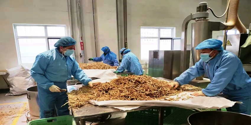 长运娱乐奋力冲刺一季度“开门红”