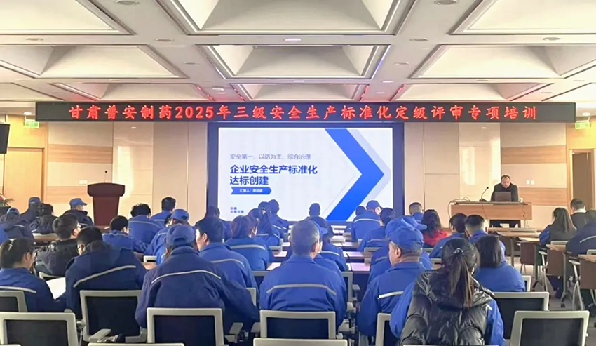 【普安长运娱乐
】安全第一 预防为主 综合治理丨普安制药开展2025年三级安全标准化定级评审专项培训