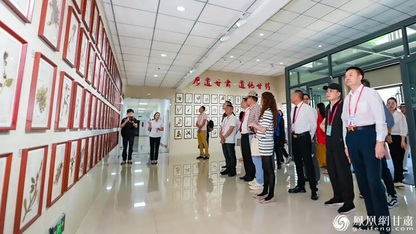 侨商探访陇药龙头企业 以侨为桥拓中药出海大道