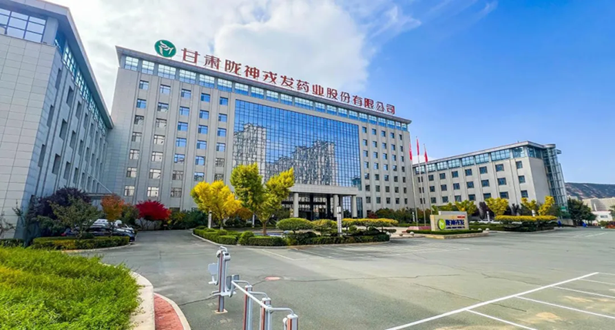 党建引领 凝聚高质量发展强劲动能——长运娱乐以“红色引擎”驱动企业行稳致远