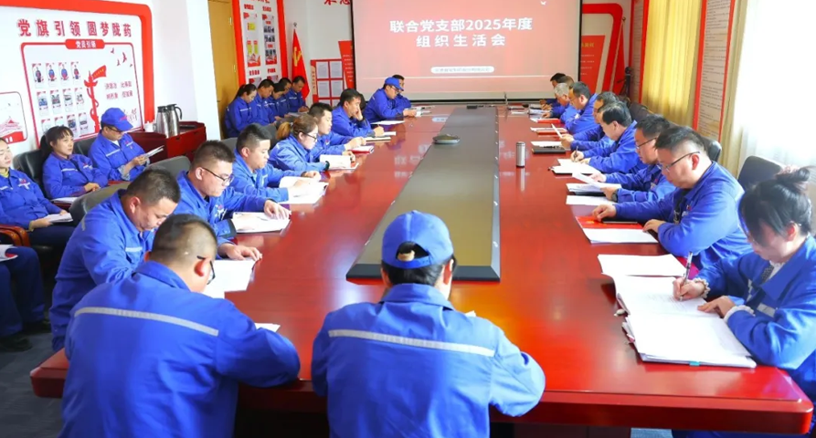 【普安长运娱乐
】严肃党内政治生活 凝聚生产攻坚合力丨联合支部2025年度组织生活会暨民主评议党员大会顺利召开